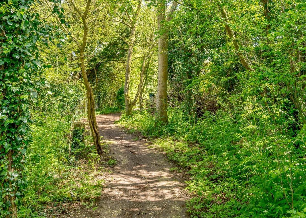 Canterbury Reach Lodge Retreat Petham Εξωτερικό φωτογραφία
